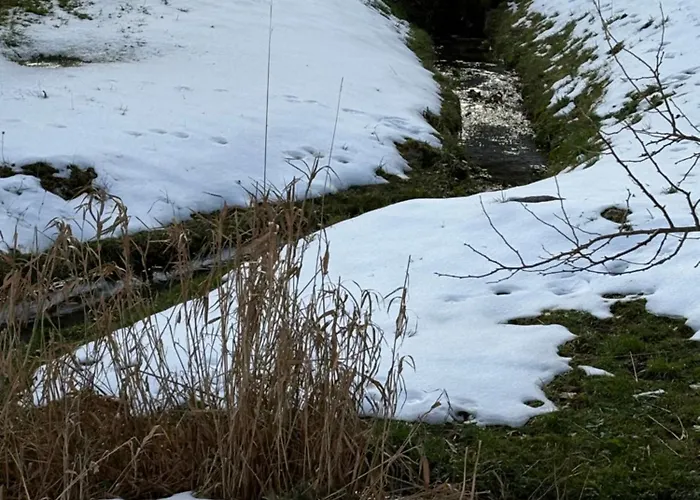 Bed & Breakfast L'atelier D' En Bas La Tine